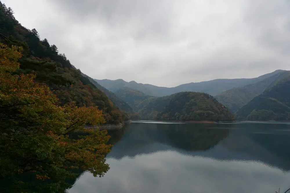 紅葉2