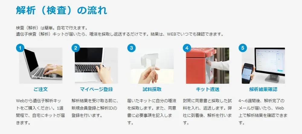 全体手順
